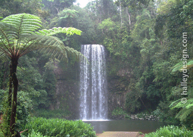 Millaa Millaa Falls, Atherton Tableland, North Queensland