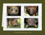 Flying-foxes of Australia