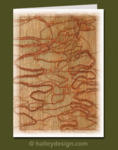Scribbly Gum










