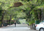 Kuranda Main Street