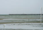 Shorncliffe Pier in Winter, South-east Queensland