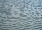 Tide Out, Sandgate, South-east Queensland