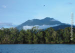 Thornton Peak, Tropical North Queensland
